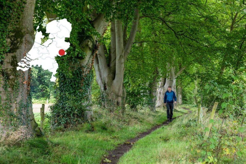 wandelroute achterhoek-hoofdfoto