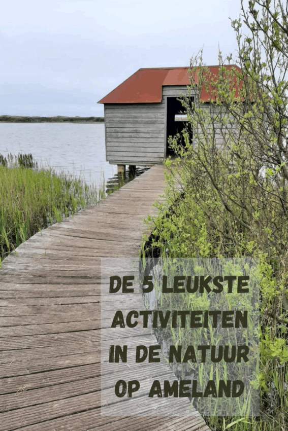 wandelroute ameland-hoofdfoto