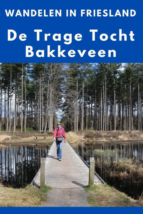 wandelroute bakkeveen-hoofdfoto