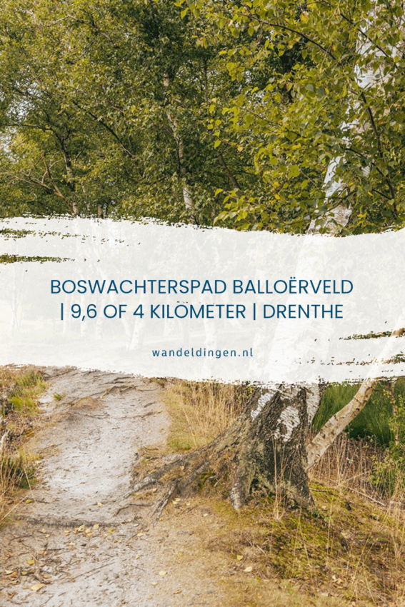 wandelroute balloerveld-hoofdfoto