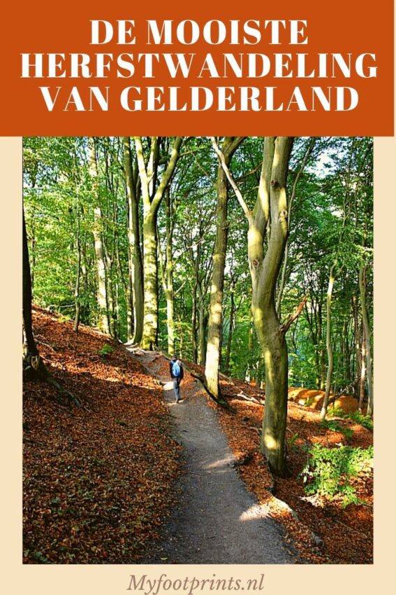 wandelroute berg en dal-hoofdfoto