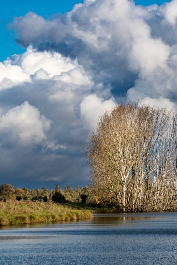 wandelroute biesbosch-hoofdfoto