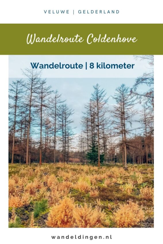 wandelroute coevorden-hoofdfoto
