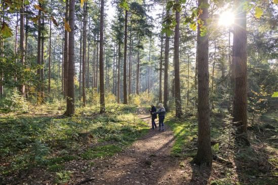 wandelroute de duintjes-hoofdfoto