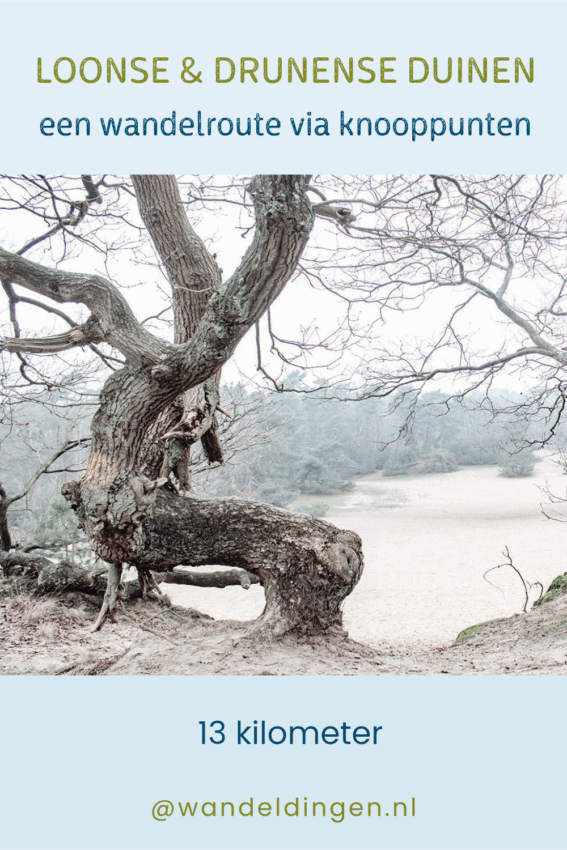 wandelroute drunense duinen-hoofdfoto