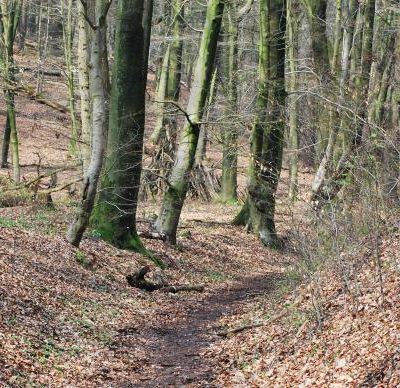 wandelroute duivelsberg (6 km)-hoofdfoto