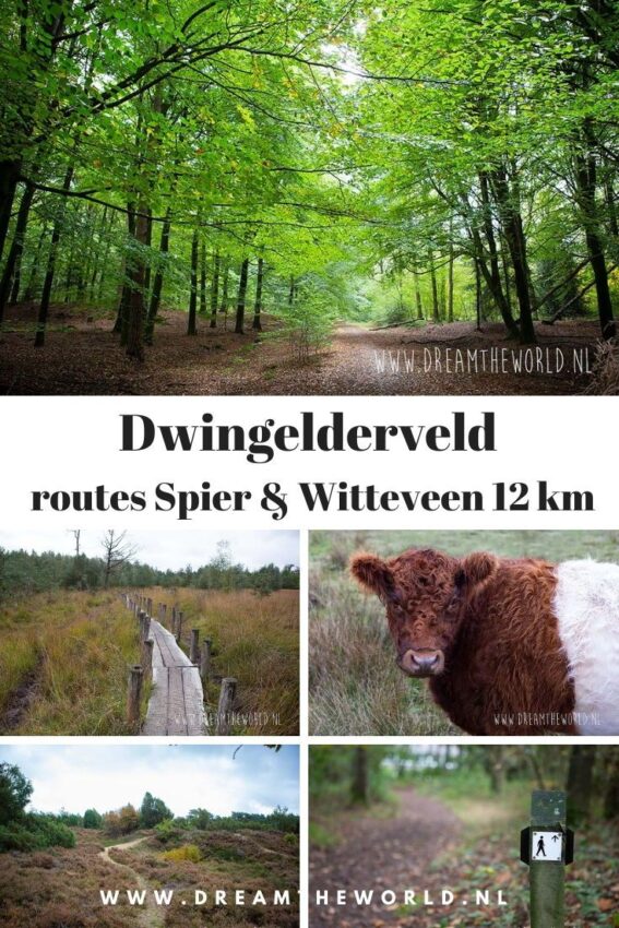 wandelroute dwingelderveld-hoofdfoto