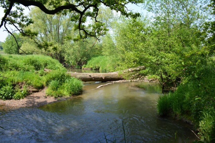 wandelroute epe-hoofdfoto