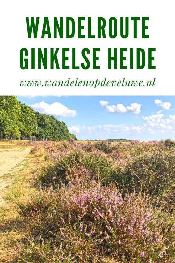 wandelroute ginkelse heide-hoofdfoto
