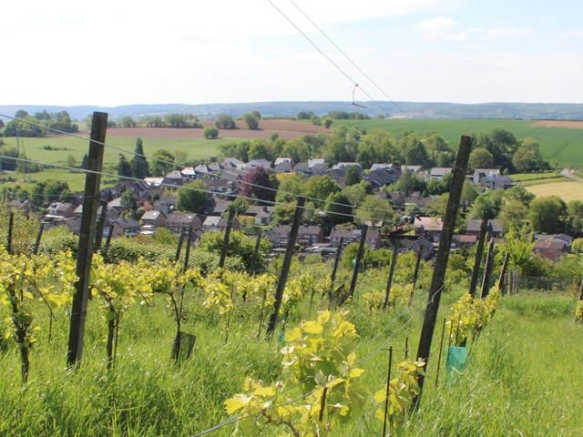 wandelroute gulpen-hoofdfoto