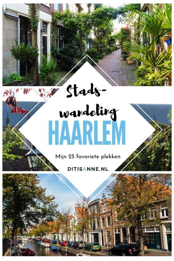 wandelroute haarlem-hoofdfoto