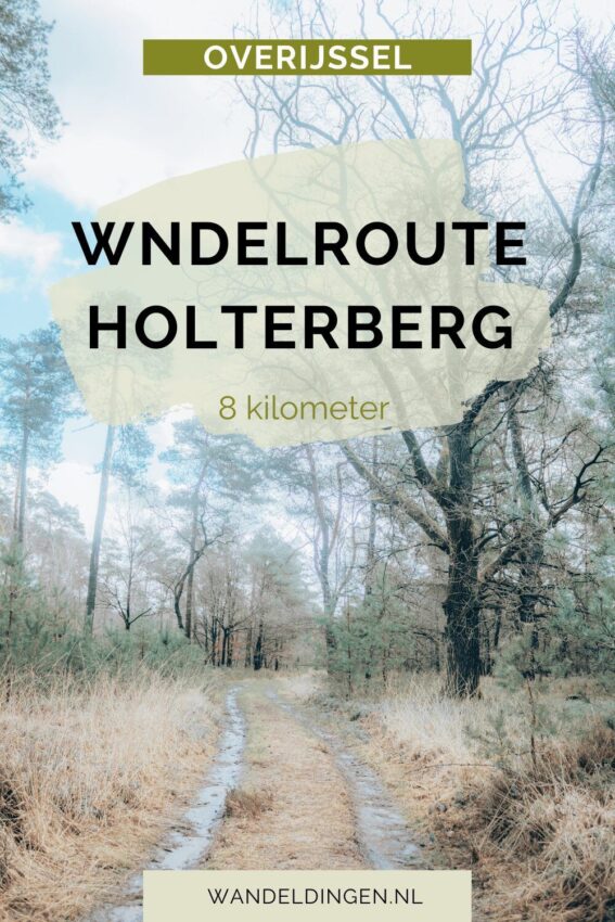 wandelroute holterberg 8 km-hoofdfoto