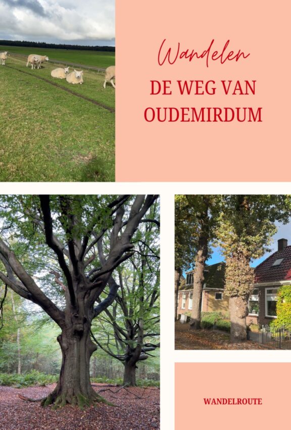 wandelroute joure-hoofdfoto