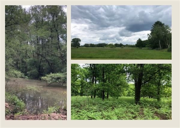 wandelroute junne beerze-hoofdfoto