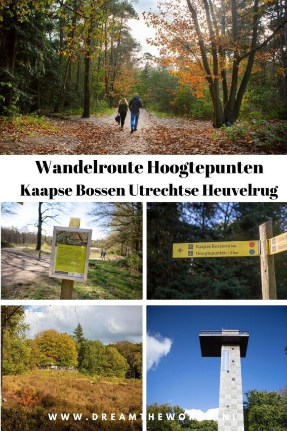 wandelroute kaapse bossen-hoofdfoto