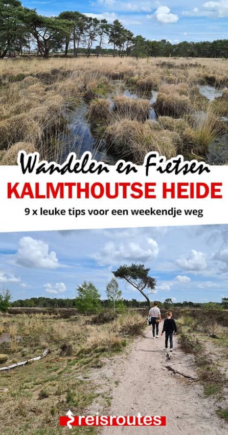 wandelroute kalmthoutse heide-hoofdfoto
