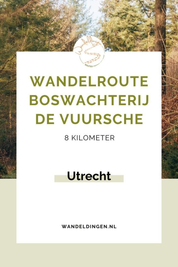 wandelroute lage vuursche-hoofdfoto