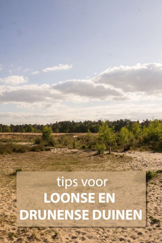 wandelroute loonse en drunense duinen-hoofdfoto