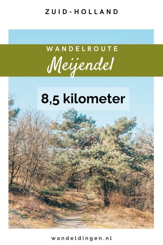 wandelroute meijendel-hoofdfoto