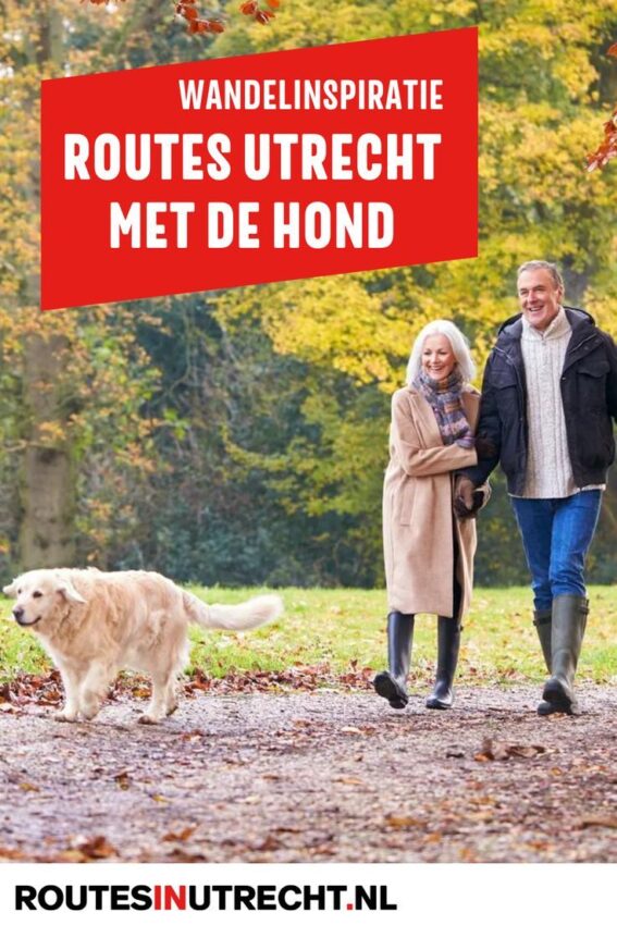 wandelroute met hond-hoofdfoto