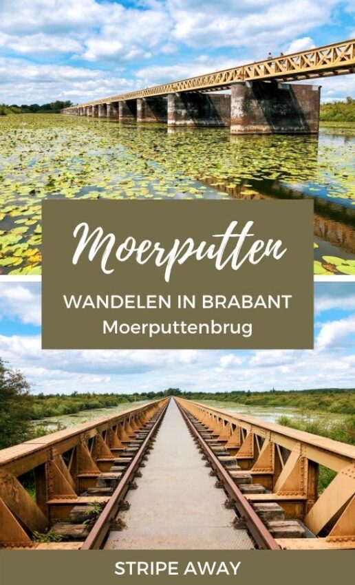 wandelroute moerputten-hoofdfoto
