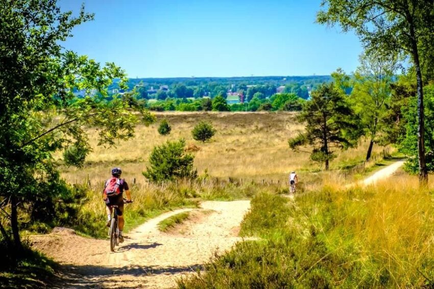 wandelroute mookerheide-hoofdfoto