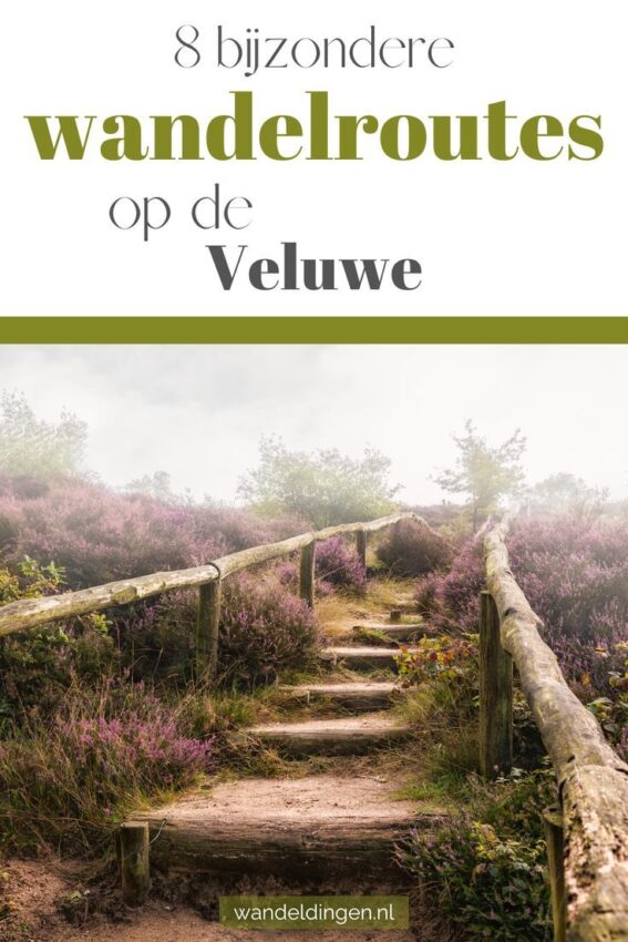 wandelroute netwerk-hoofdfoto