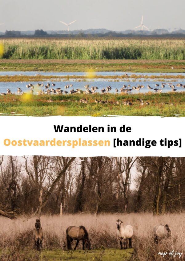 wandelroute oostvaardersplassen-hoofdfoto