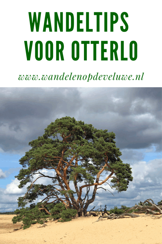 wandelroute otterlo-hoofdfoto