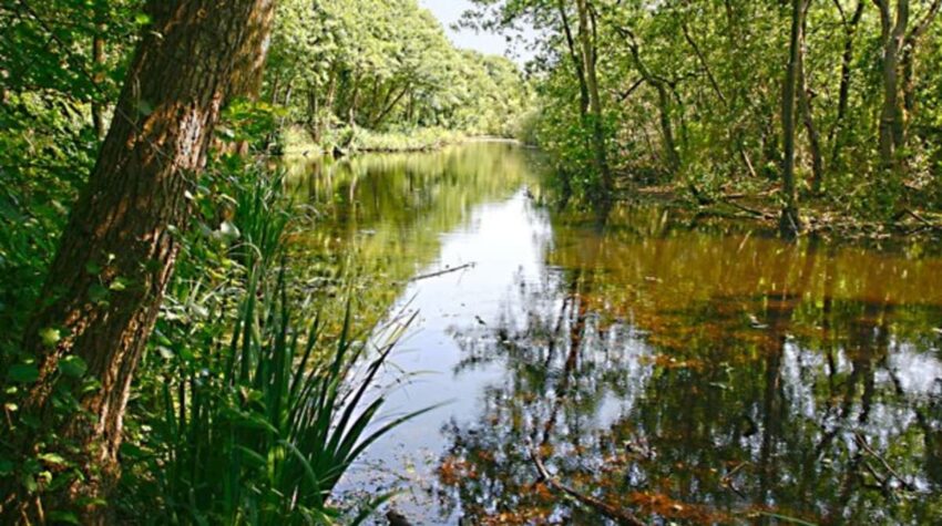 wandelroute quackjeswater-hoofdfoto