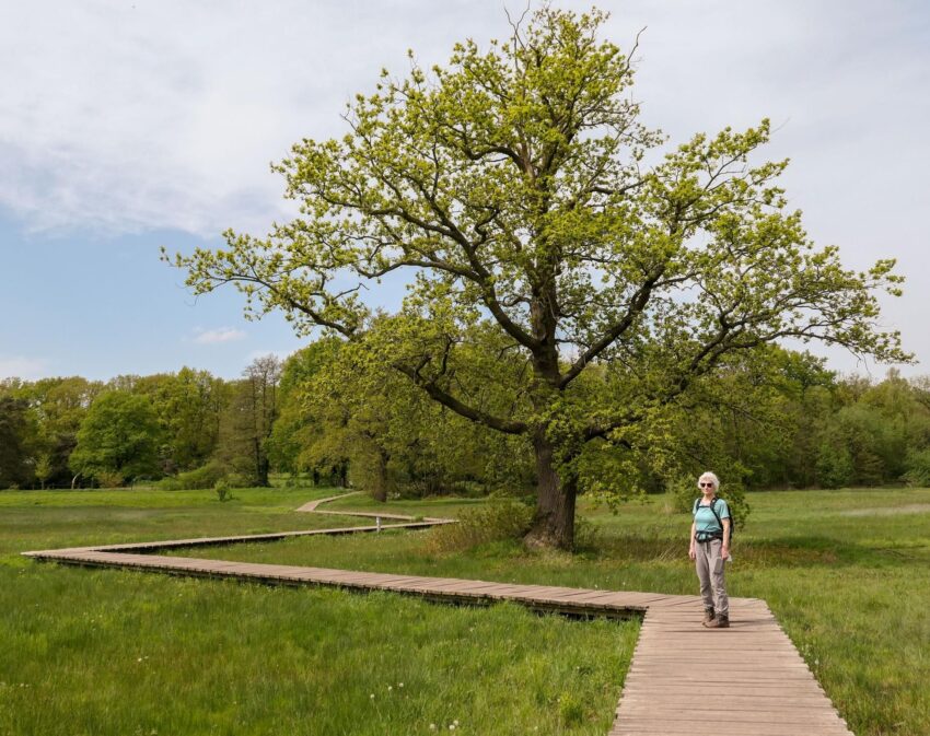 wandelroute quadenoord-hoofdfoto