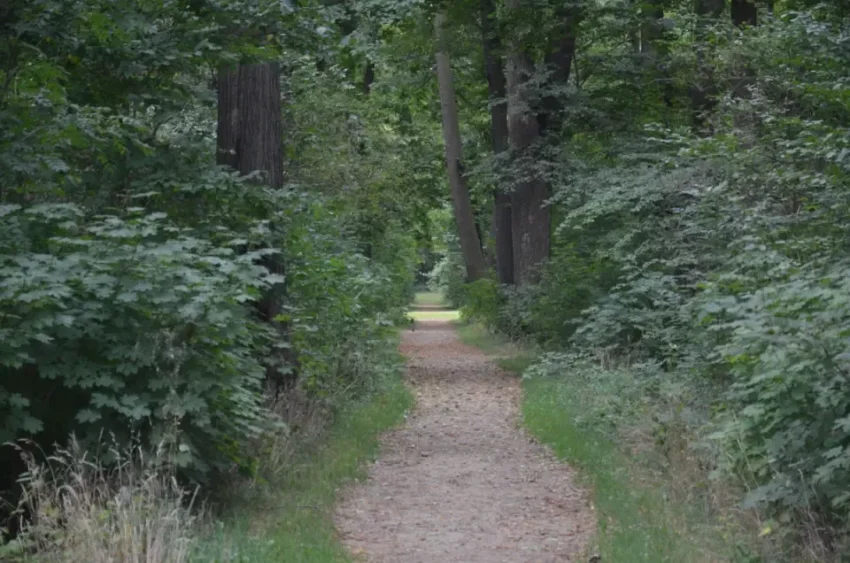 wandelroute quedlinburg-hoofdfoto