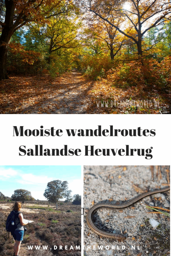 wandelroute sallandse heuvelrug-hoofdfoto