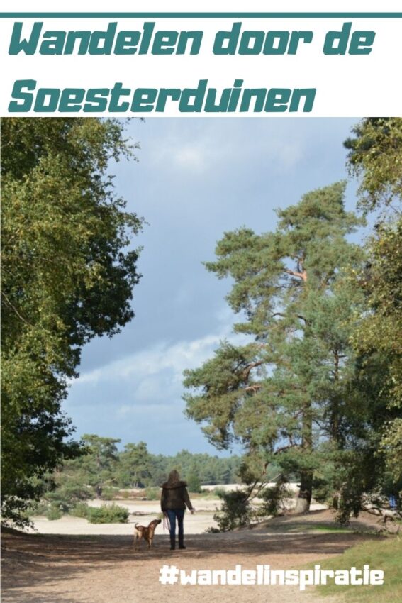 wandelroute soesterduinen-hoofdfoto