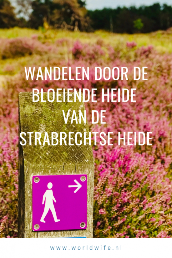 wandelroute strabrechtse heide-hoofdfoto