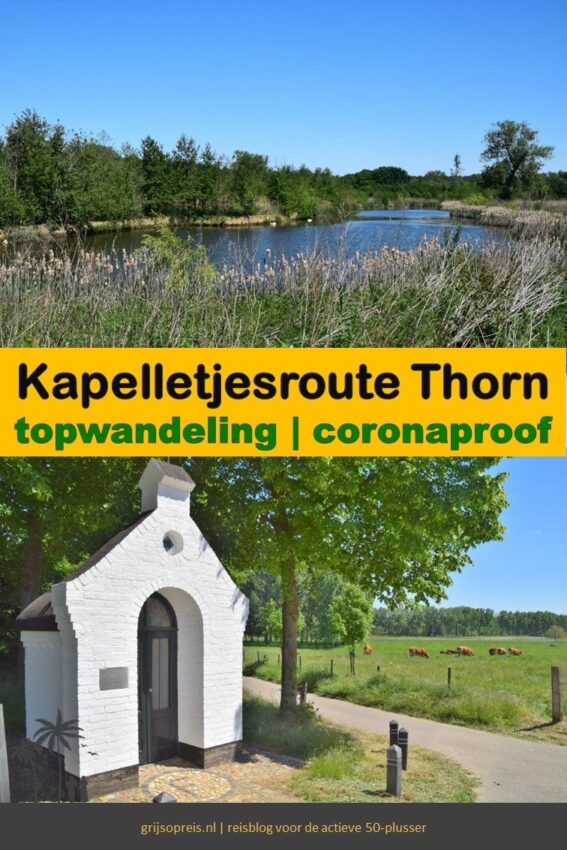 wandelroute thorn-hoofdfoto