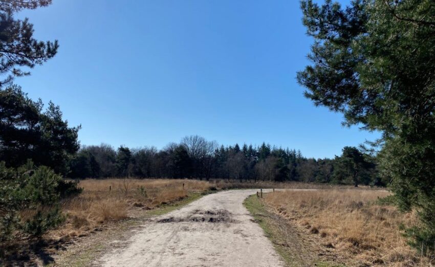 wandelroute tilburg-hoofdfoto