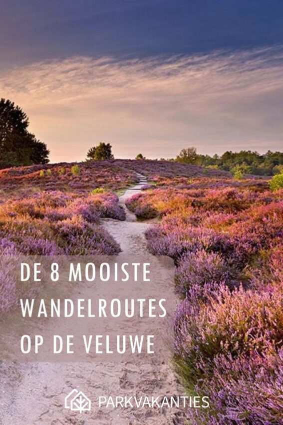 wandelroute veluwe-hoofdfoto