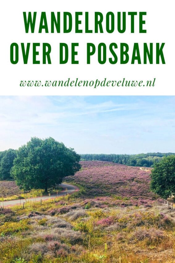 wandelroute veluwezoom-posbank-hoofdfoto
