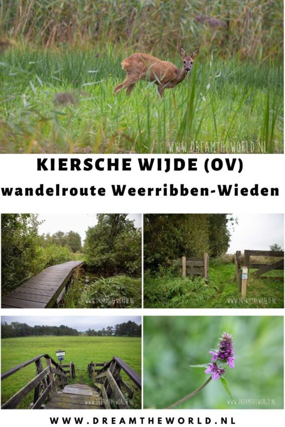 wandelroute weerribben-hoofdfoto