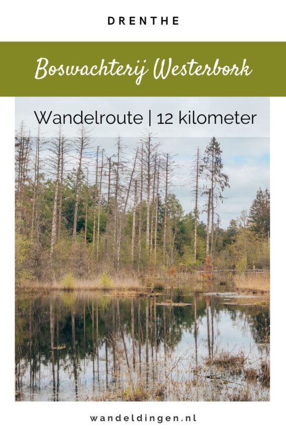 wandelroute westerbork-hoofdfoto