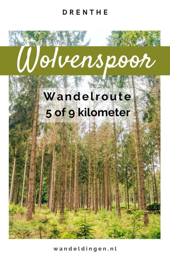 wandelroute wolvenspoor-hoofdfoto