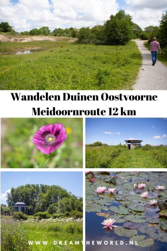 wandelroute yde-hoofdfoto