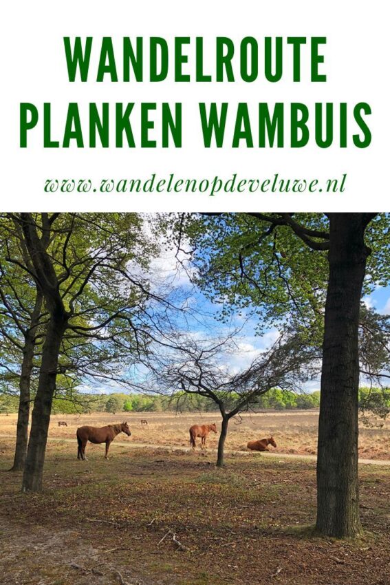wandelroute ypelo-hoofdfoto