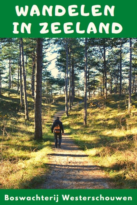wandelroute zeeland-hoofdfoto