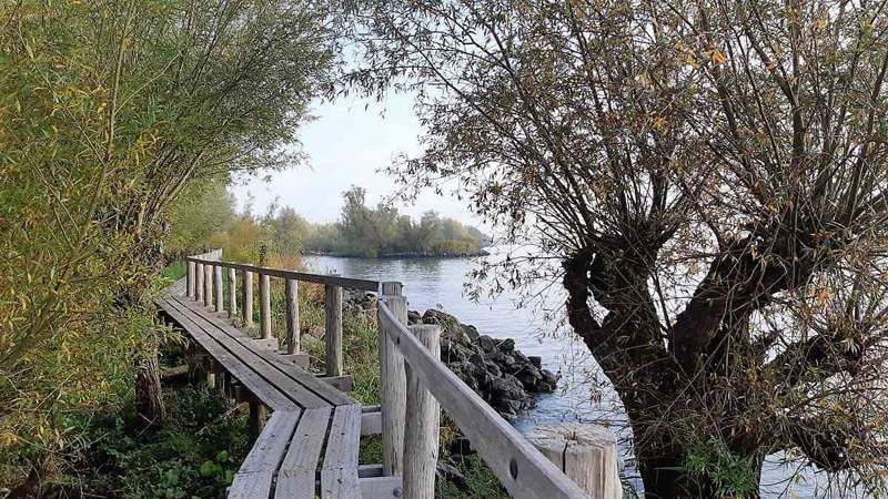 wandelroute zuid holland-hoofdfoto