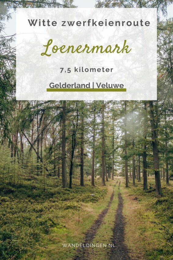 wandelroute zuidlaren-hoofdfoto